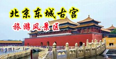 国产干逼视频中国北京-东城古宫旅游风景区